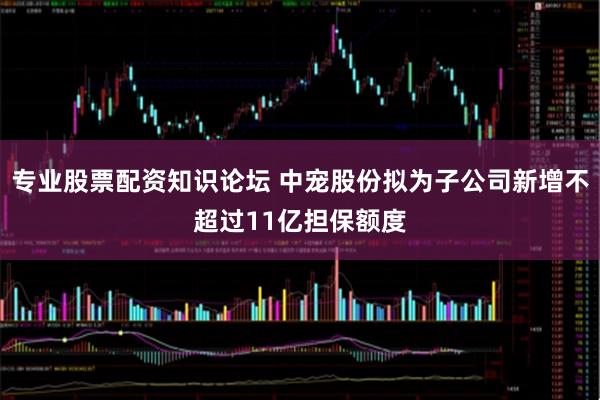 专业股票配资知识论坛 中宠股份拟为子公司新增不超过11亿担保额度